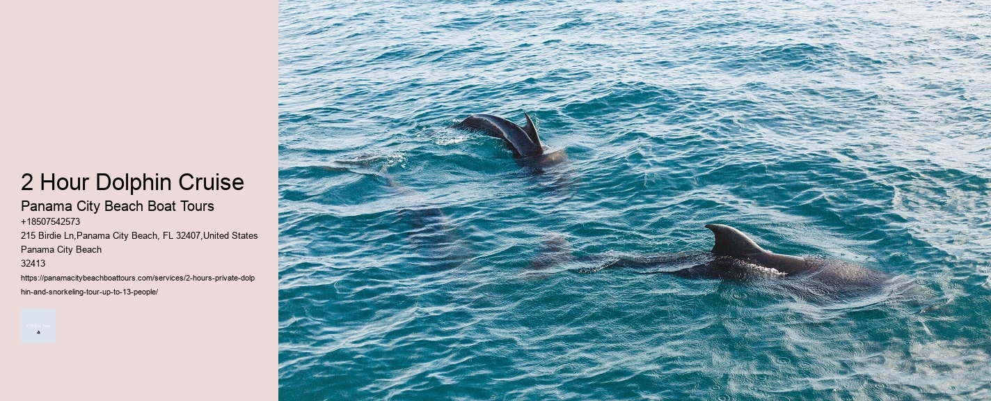 2 Hour Dolphin Cruise