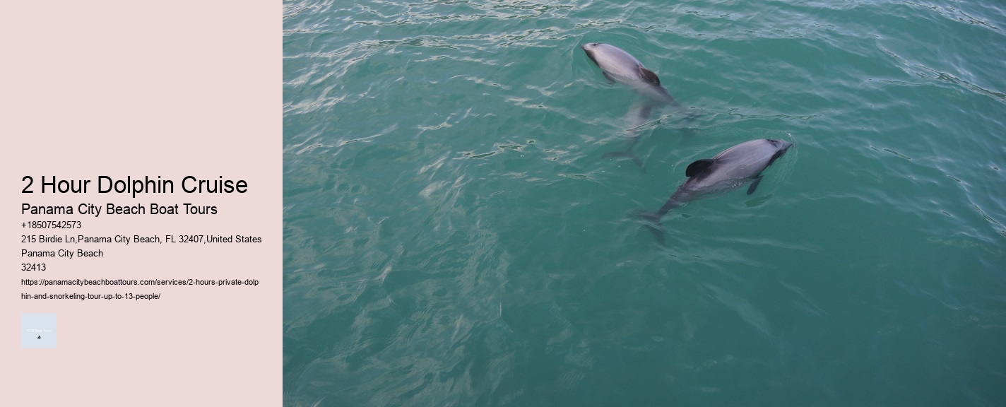 Little River Dolphin Tours