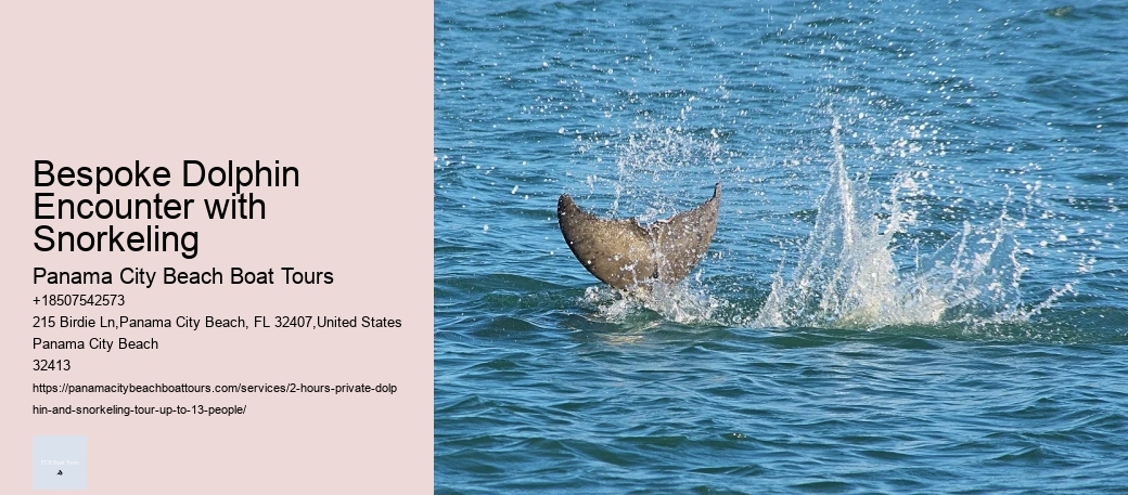 Bespoke Dolphin Encounter with Snorkeling