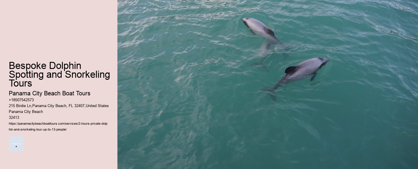 Dolphin Tours Uk