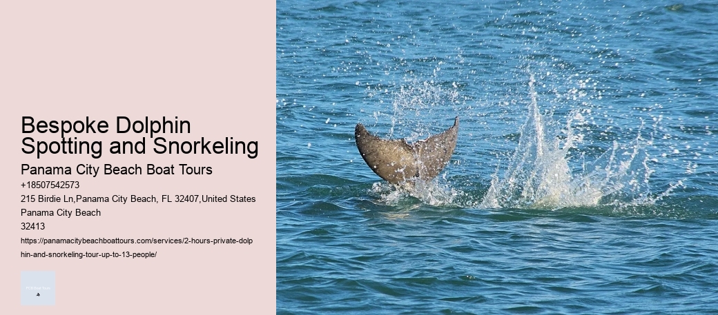Jekyll Island Dolphin Tours