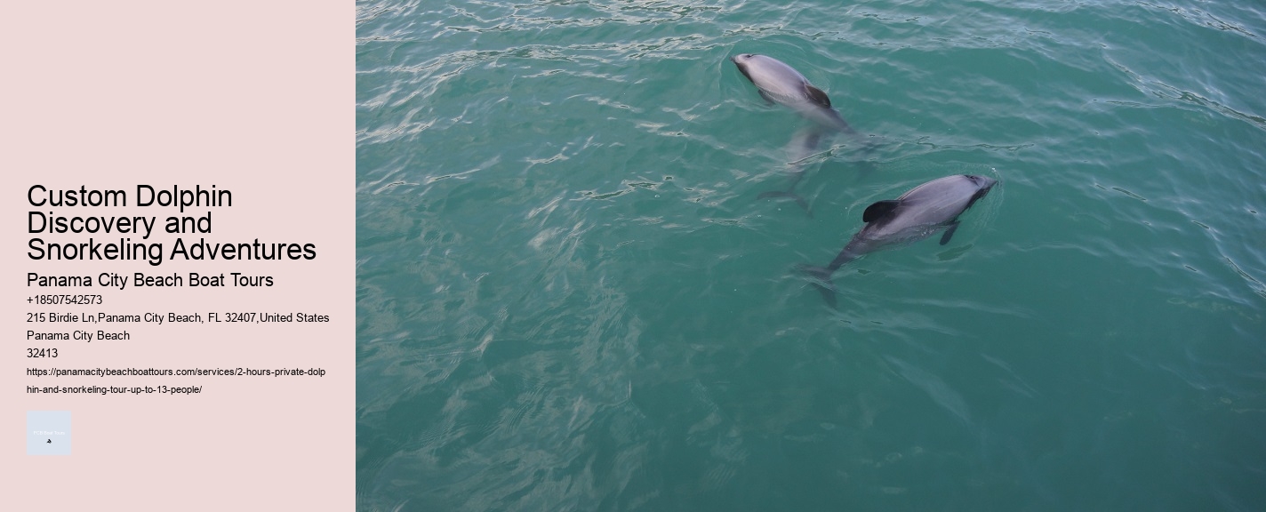 Custom Dolphin Discovery and Snorkeling Adventures
