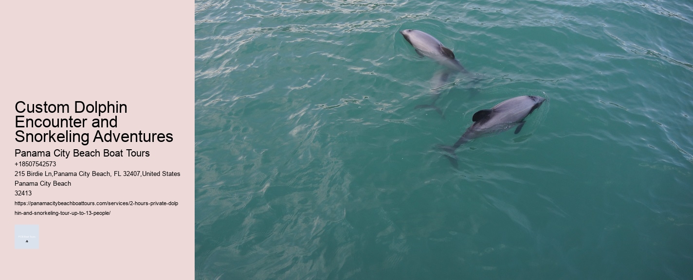 Custom Dolphin Encounter and Snorkeling Adventures