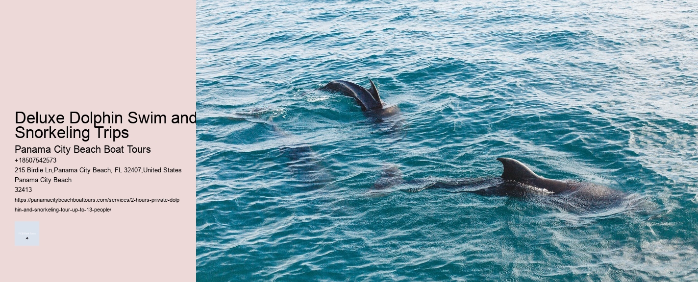 Deluxe Dolphin Swim and Snorkeling Trips