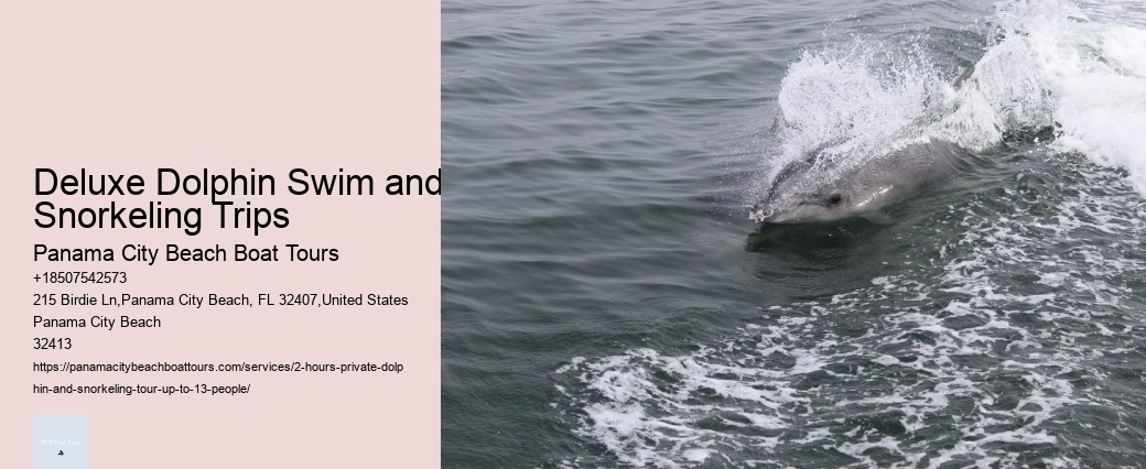 Dolphin Tours Hilton Head Island