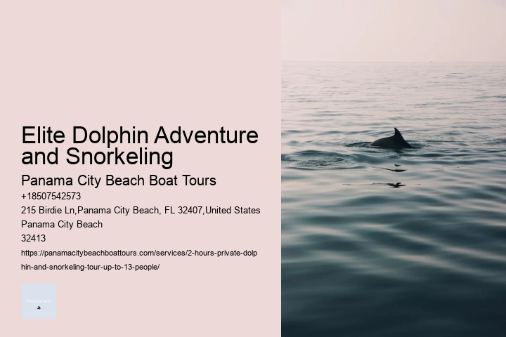 Elite Dolphin Adventure and Snorkeling