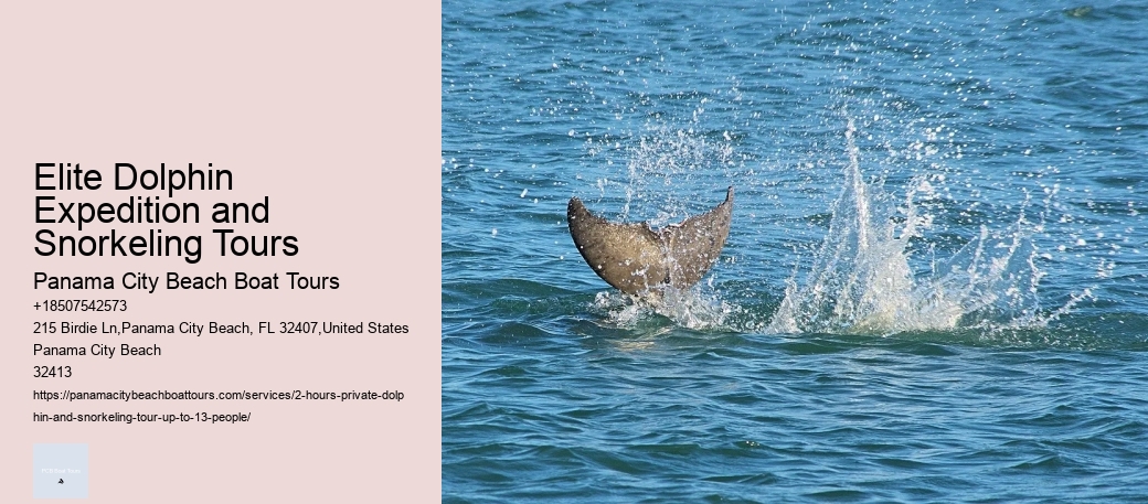 Private Dolphin