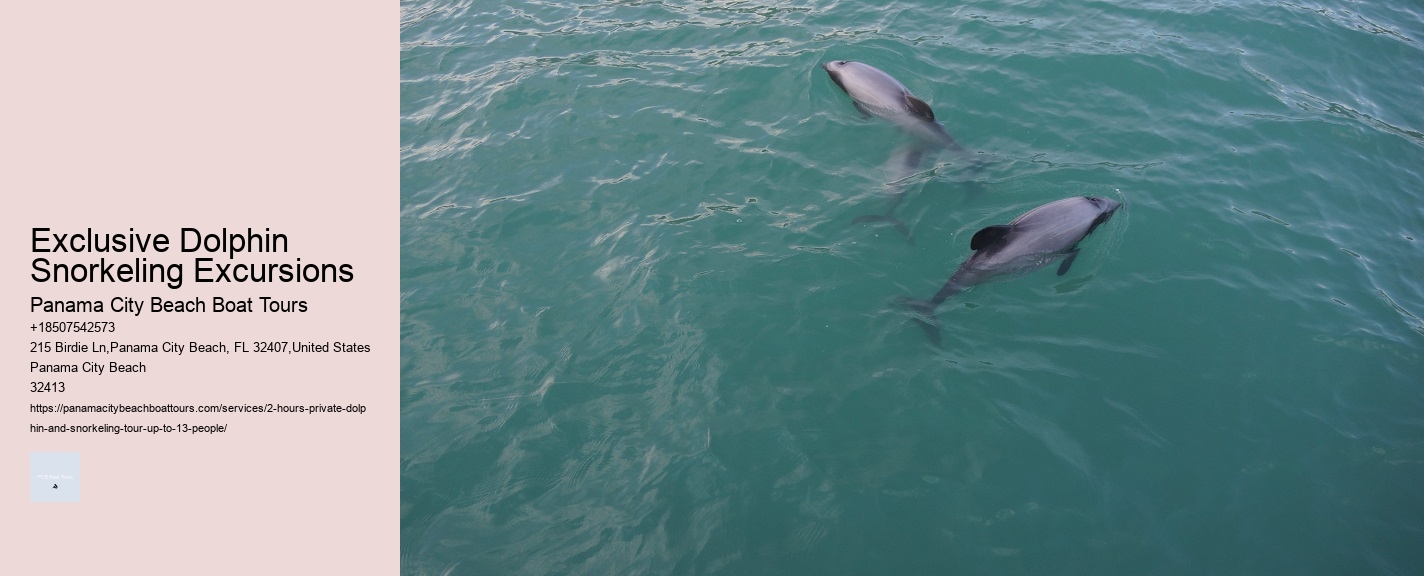 Exclusive Dolphin Snorkeling Excursions