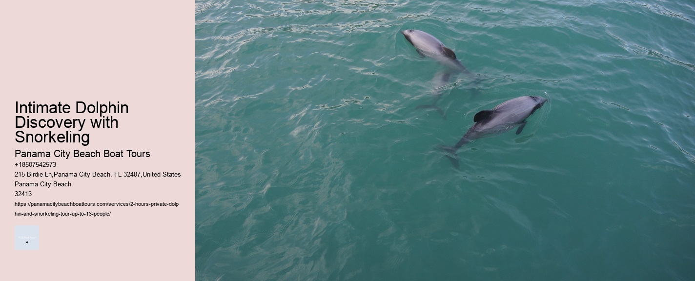 Intimate Dolphin Discovery with Snorkeling