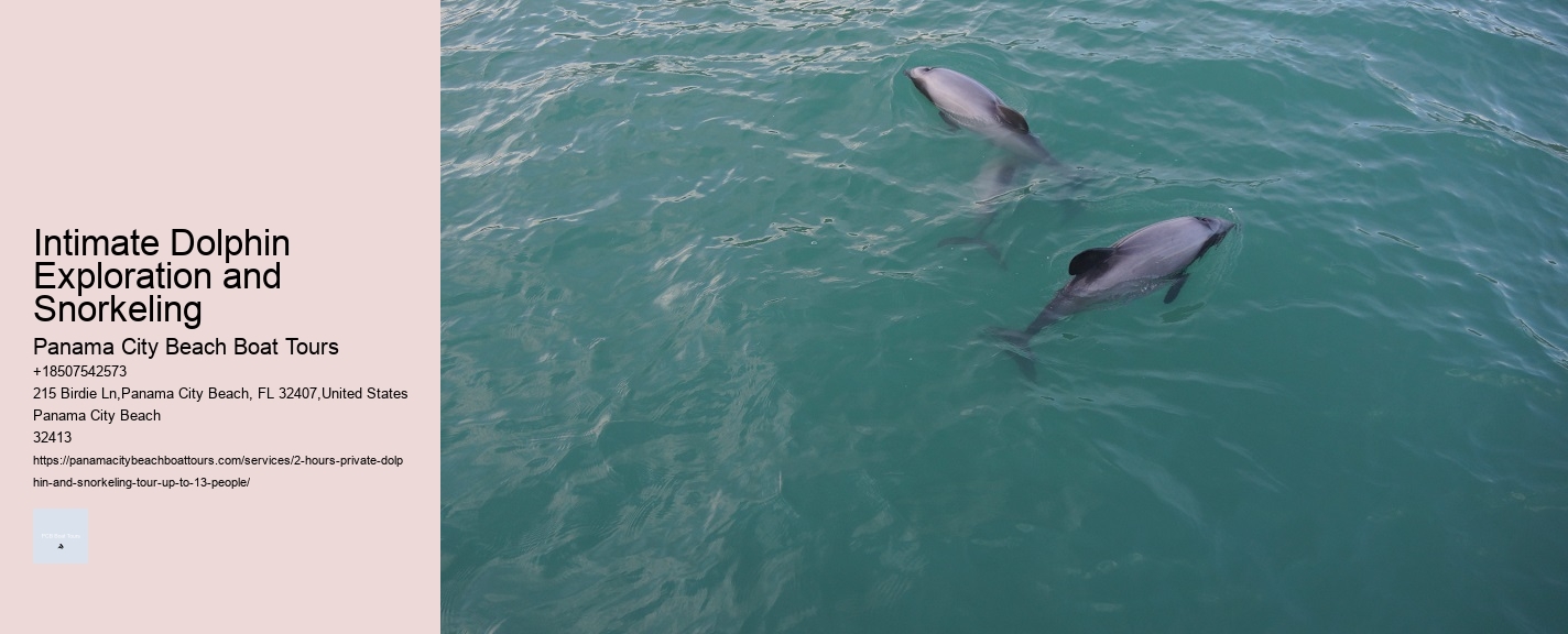 Intimate Dolphin Exploration and Snorkeling