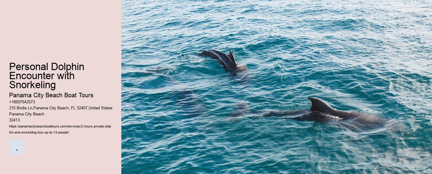Dolphin Tours Fort Myers Florida
