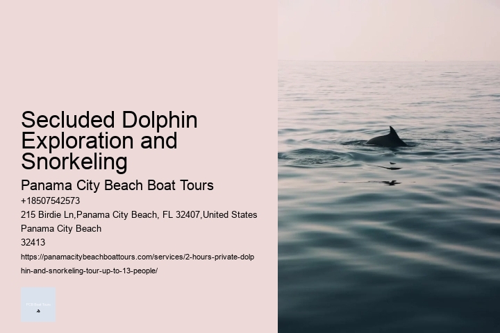 What Cruise Can You Swim With Dolphins