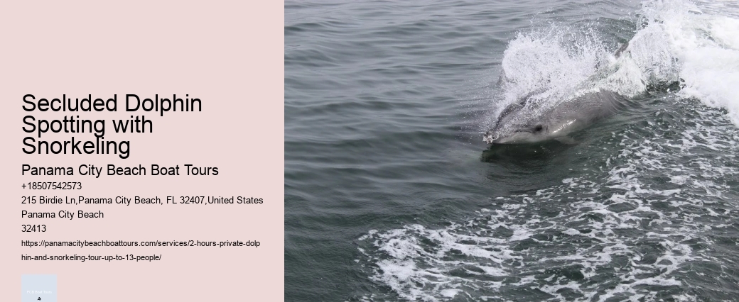 Dolphin Quest Oahu Tours