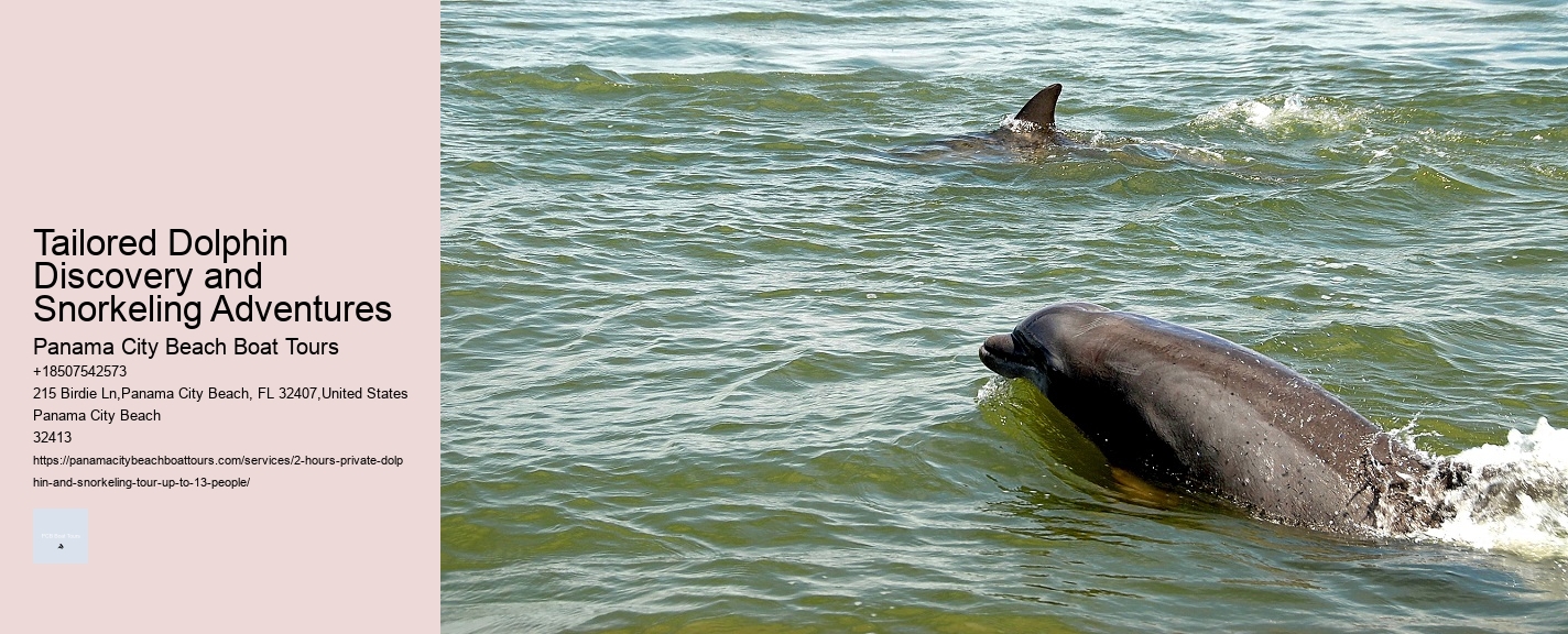 Tailored Dolphin Discovery and Snorkeling Adventures