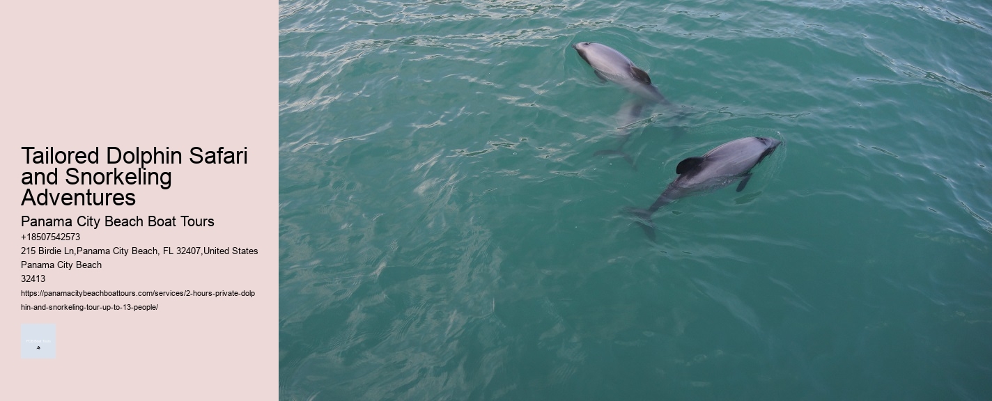 Tailored Dolphin Safari and Snorkeling Adventures