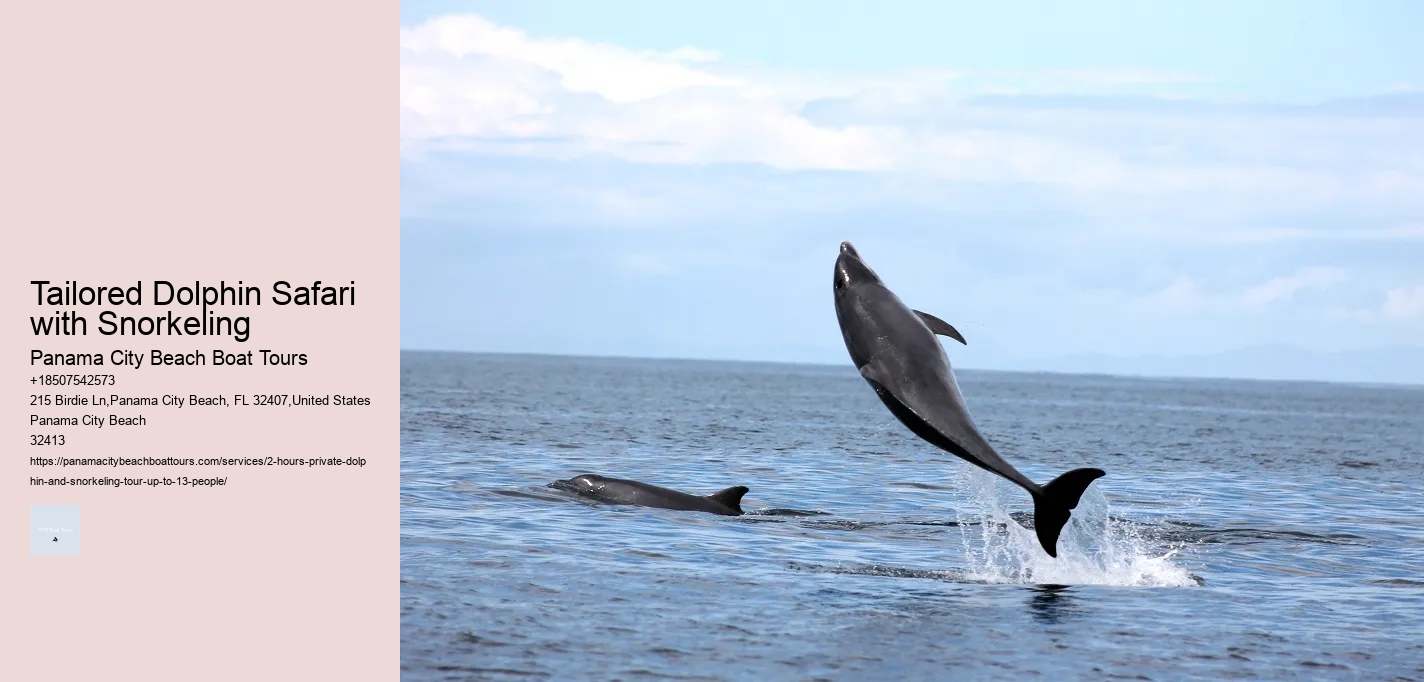 Tailored Dolphin Safari with Snorkeling