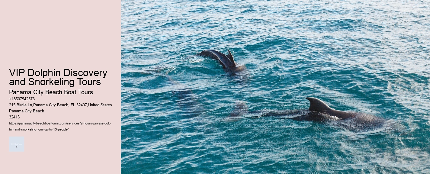 Rockport Dolphin Tours
